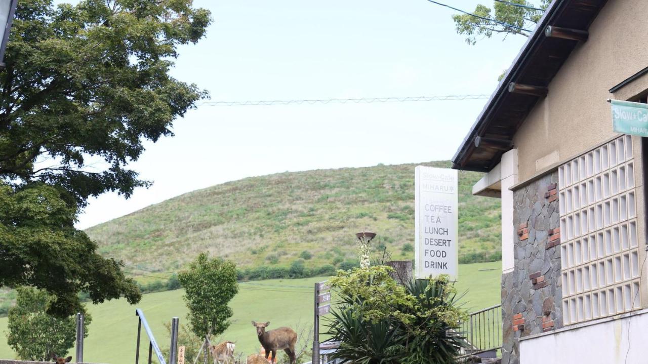 Mountain Home Lodge In Deer Park Nara Zewnętrze zdjęcie