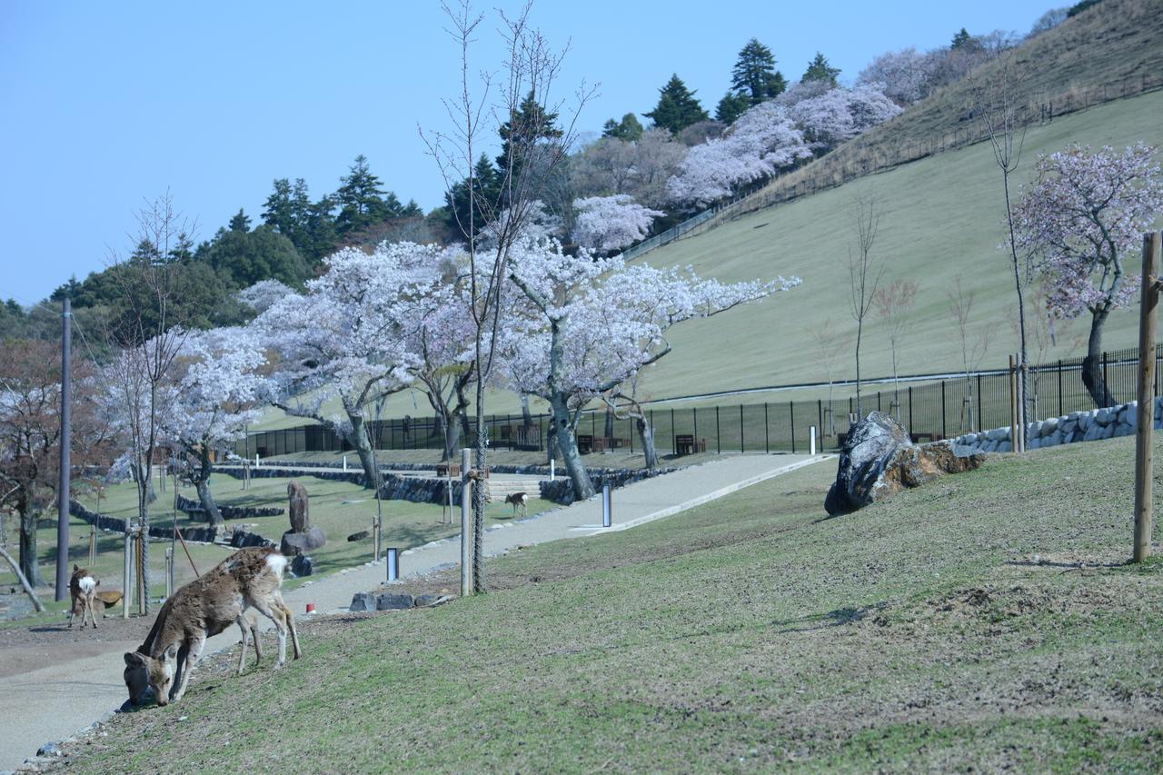 Mountain Home Lodge In Deer Park Nara Zewnętrze zdjęcie