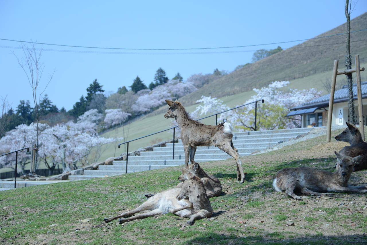 Mountain Home Lodge In Deer Park Nara Zewnętrze zdjęcie